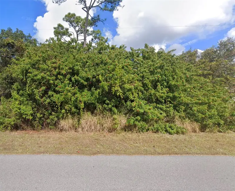 Lot 19 E Hillsborough Blvd, FL