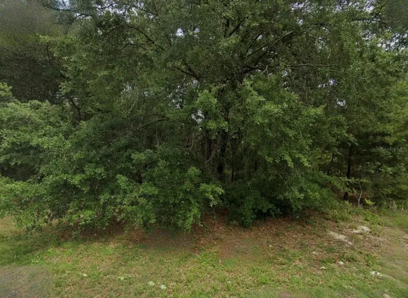 Unassigned, FL