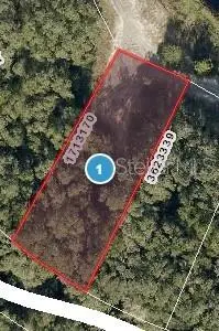Redbud Rd, FL