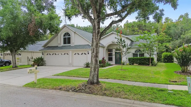 10217 Timberland Point Dr, FL