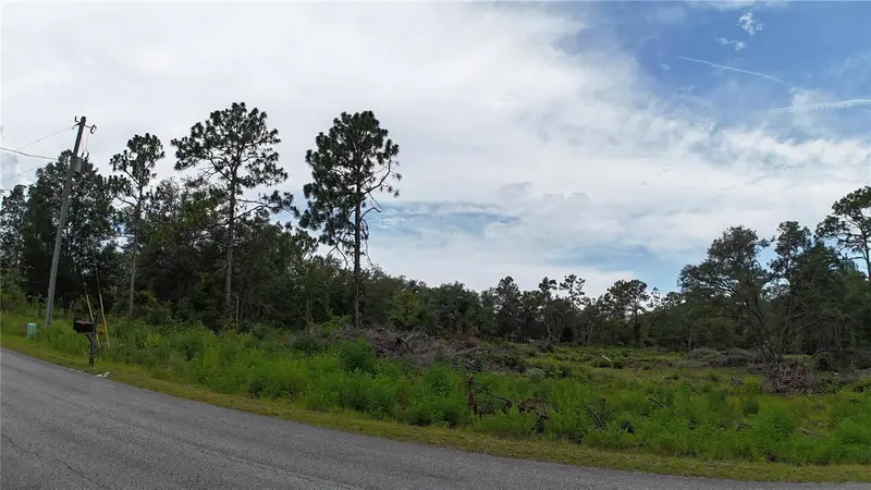Xx Sw Begonia Ct, FL