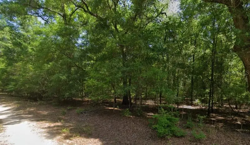 Ne Willow Bend Ter, FL