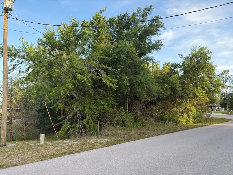 Magnolia Cir, FL