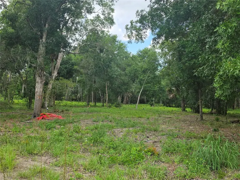 180 Oak Dr, FL