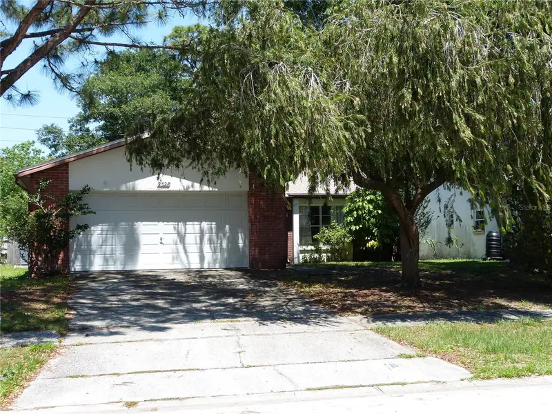 2528 Elderberry Dr, FL