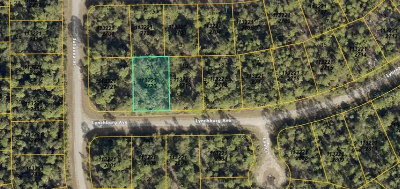 1132212720 Lynchburg Ave, FL
