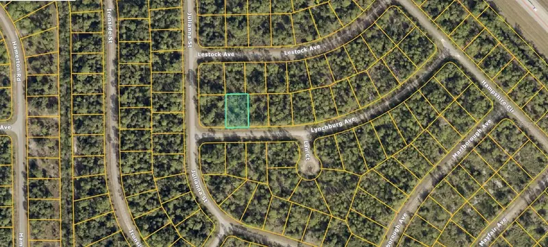 1132212720 Lynchburg Ave, FL