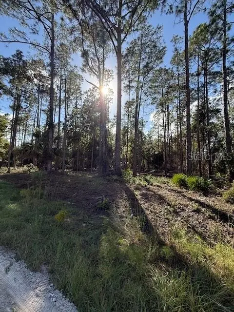 215 Hideaway Ln, FL