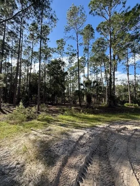 215 Hideaway Ln, FL