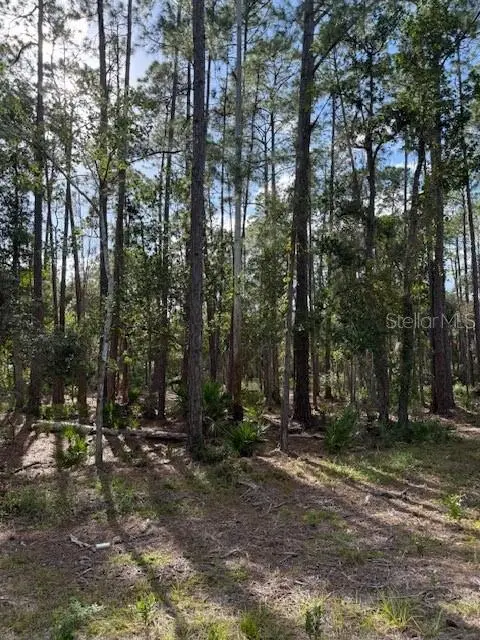 207 Ocala Ct, FL