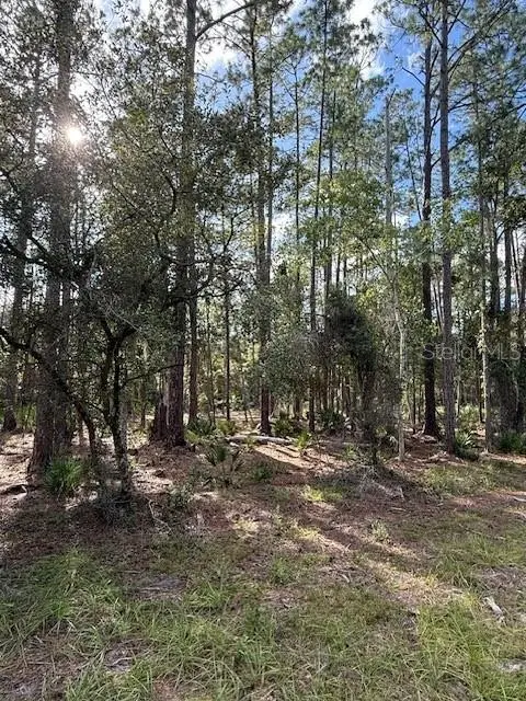 207 Ocala Ct, FL