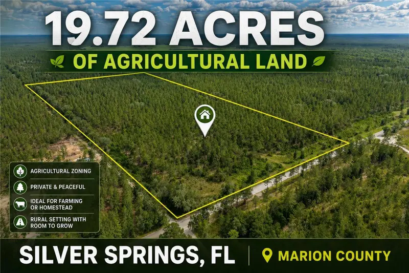 Ne 90th Street Rd, FL