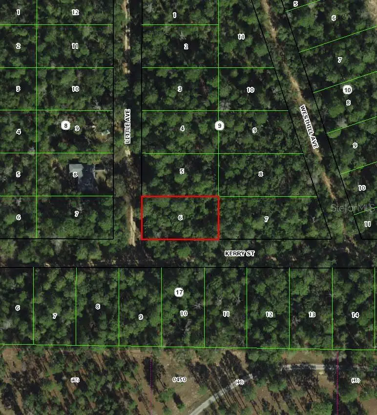 306 Little Ave, FL