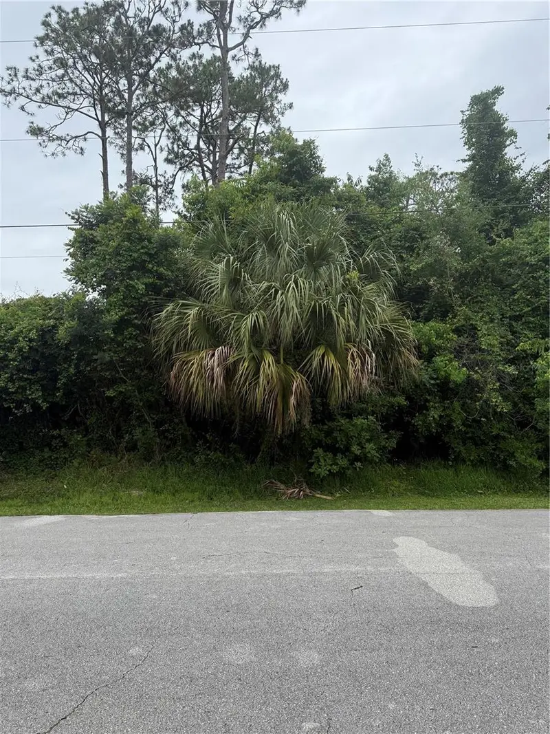 38 Squash Blossom Trl, FL