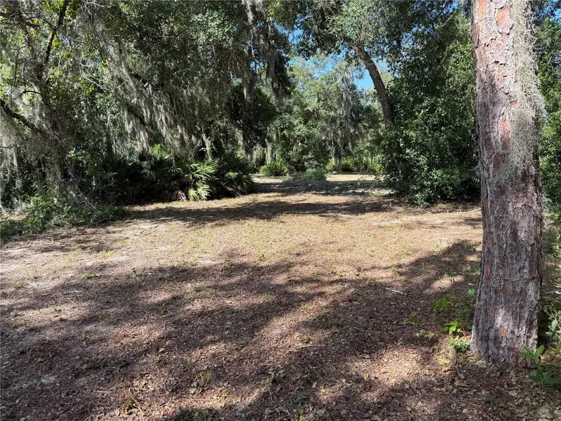 3113 Bright Lake Cir, FL