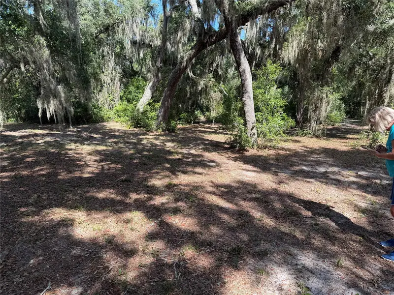 3113 Bright Lake Cir, FL
