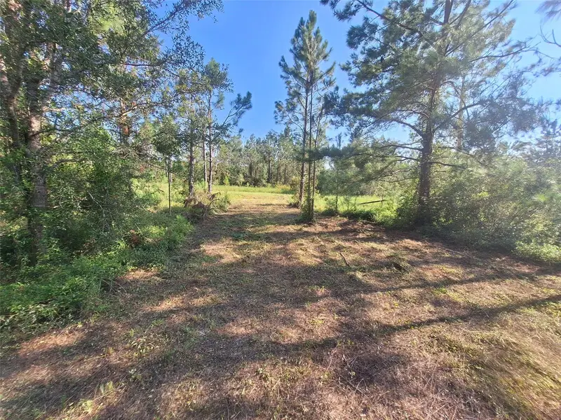 0 Unassigned Location Re, FL