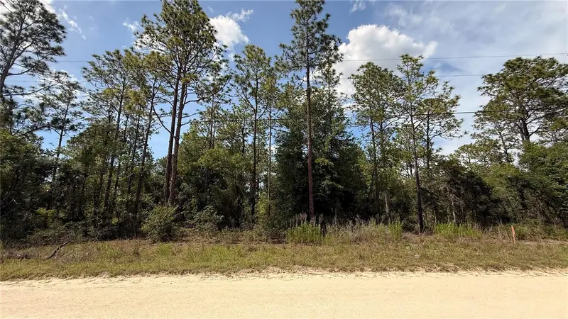 Undetermined, FL