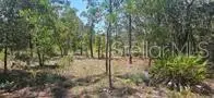000 Ne 67th Ln, FL