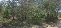 000 Ne 67th Ln, FL