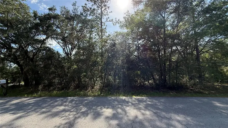 Undetermined, FL