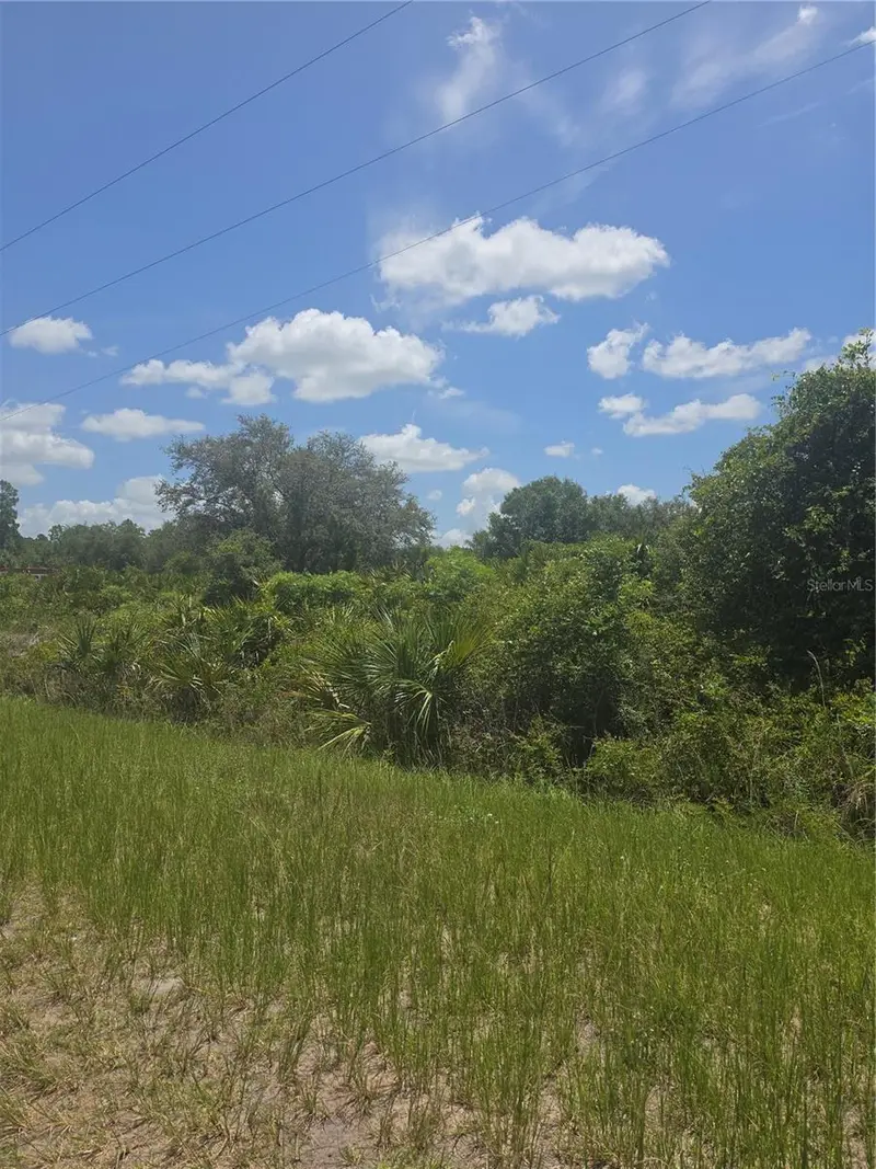 665 S Live Oak St, FL
