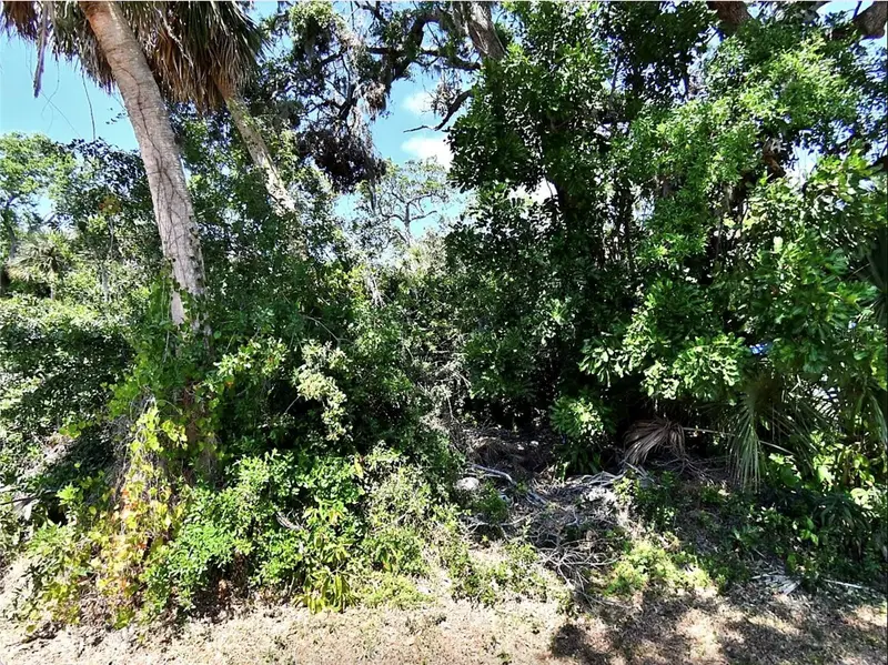 Foxglove Rd, FL