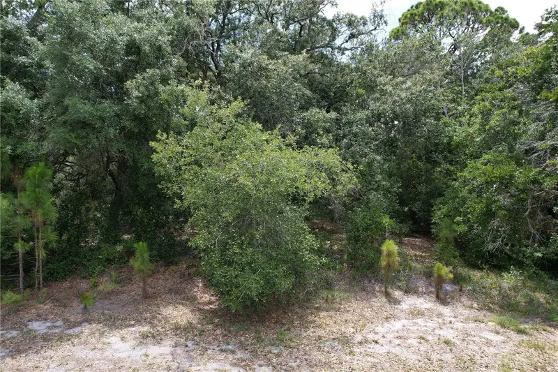 1008 Wildflower St, FL