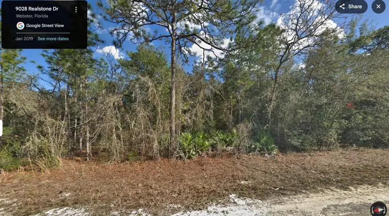 9028 Realstone Dr, FL