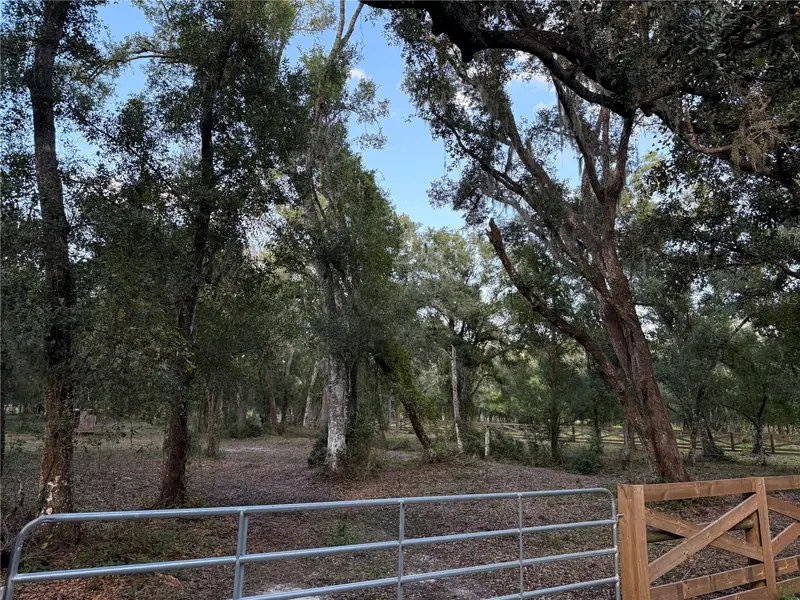 Se Brown Rd, FL