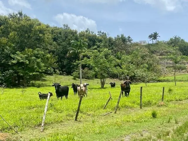 Pr 155 Ramal 646, PR