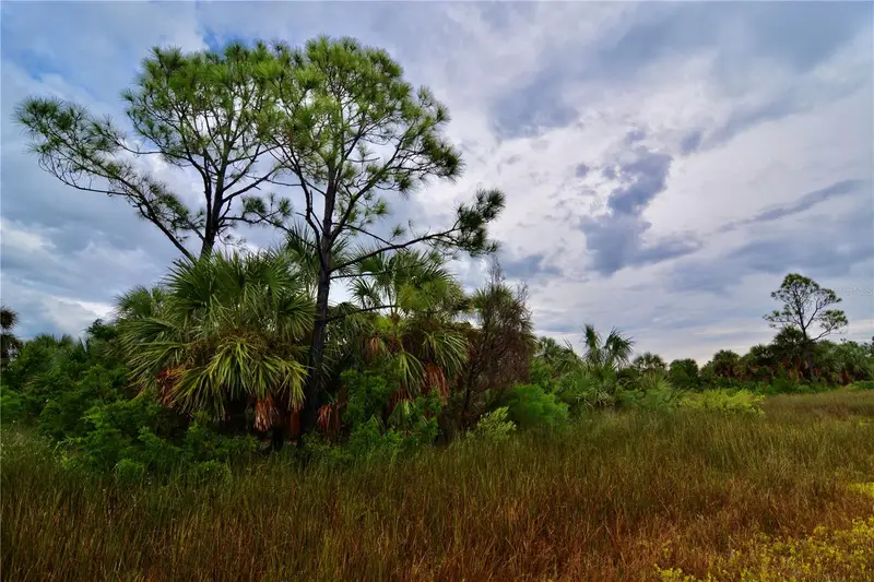 00 Lots 18,19 Adams Beach Road, FL