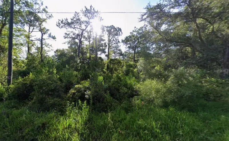 Atlee St, FL