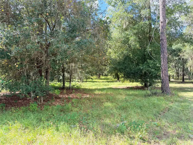 Bonsmara Dr, FL