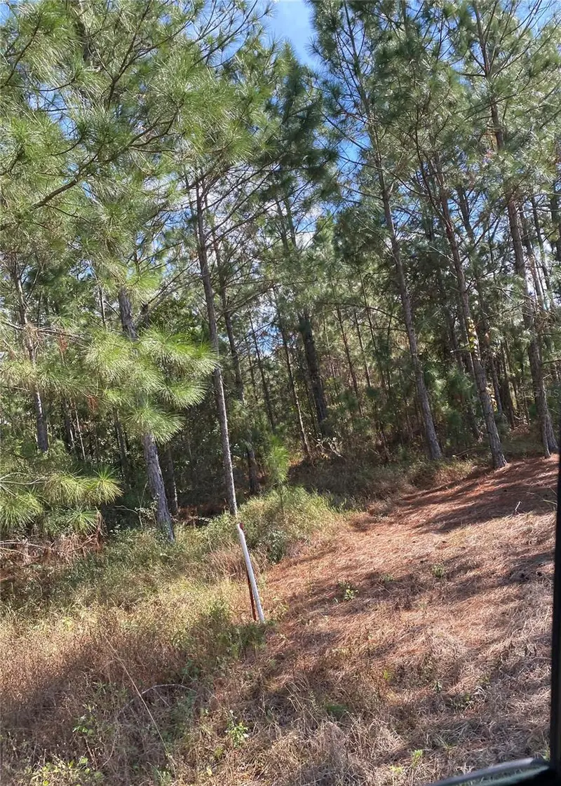 Polk City, FL