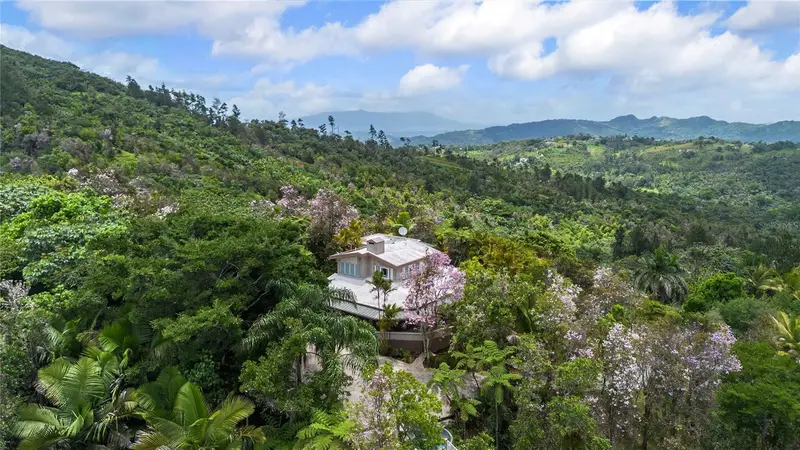 Pr-184 Guavate, PR