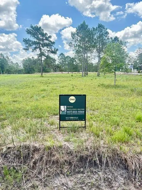 Caesar Ave, FL