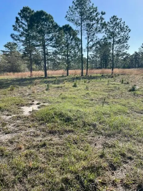 Caesar Ave, FL