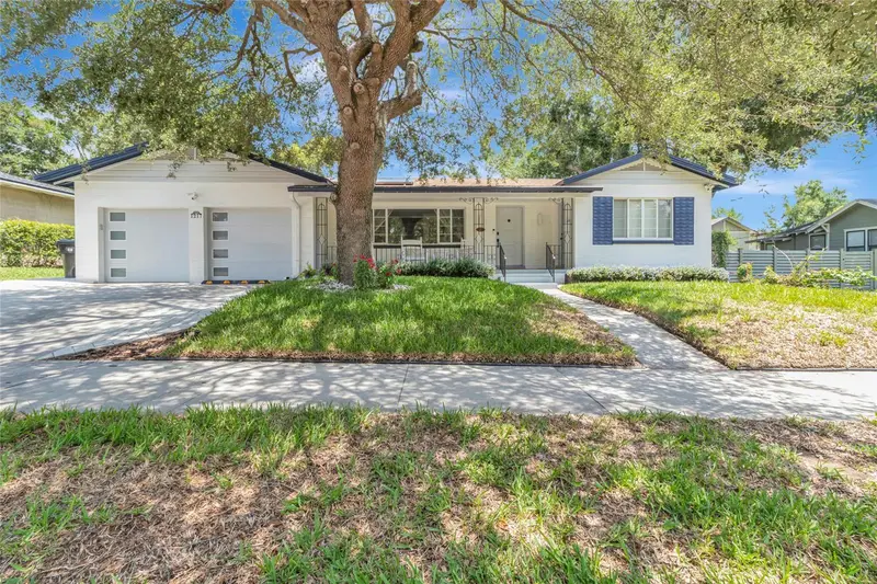 1217 E Amelia St, FL