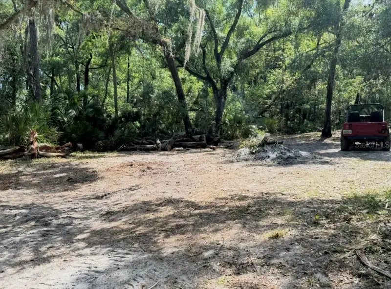 901 Shoals Landing Dr, FL