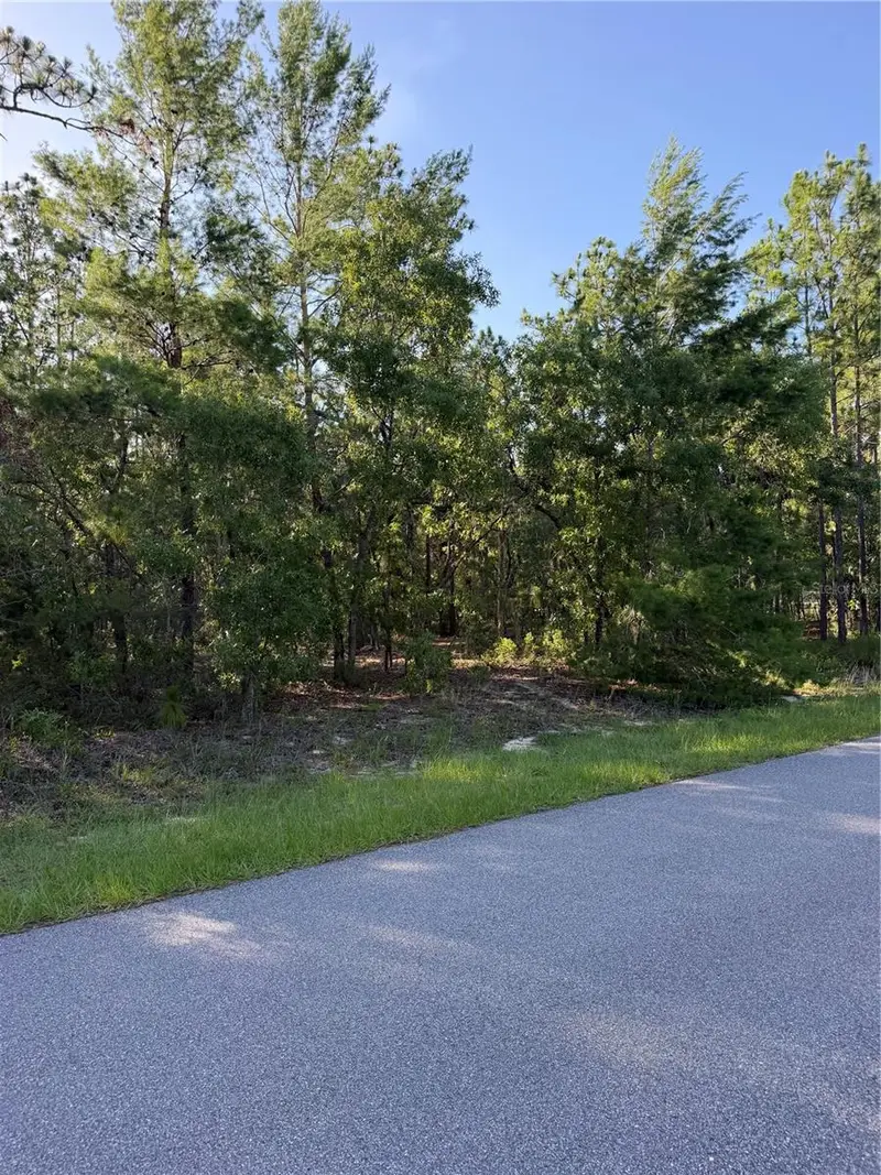 2005 Cr 243e, FL