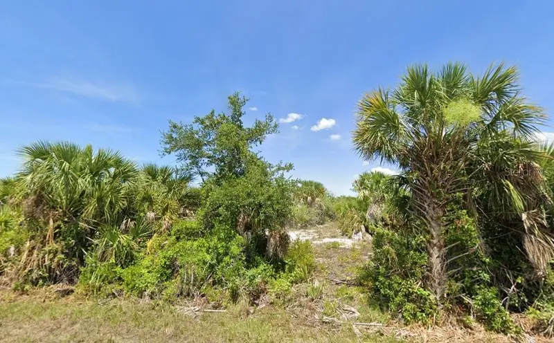 10038 Greetings St, FL