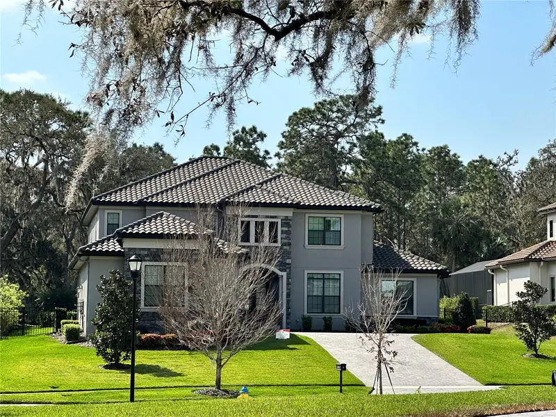 14704 Fishhawk Preserve Dr, FL