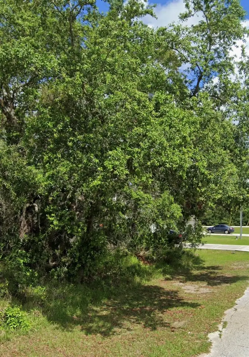 1504 Eloise Ct, FL