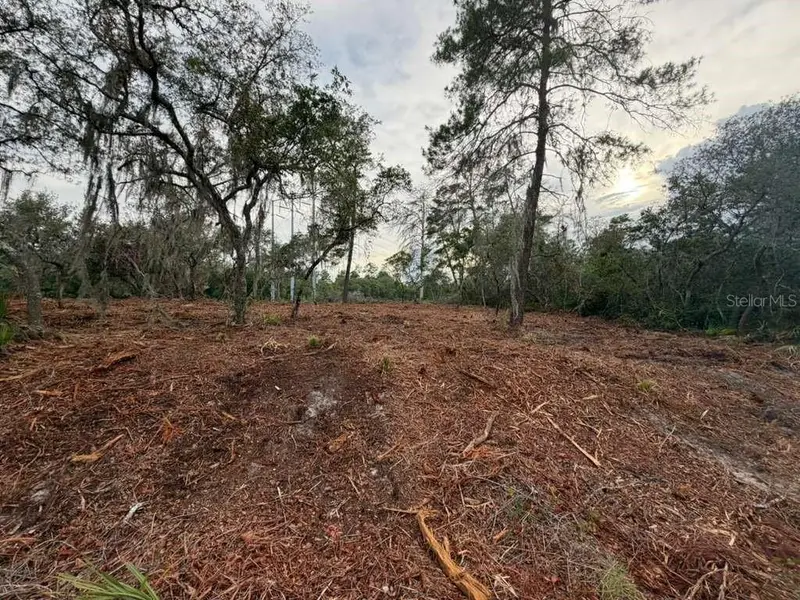 Sequoia Trl, FL
