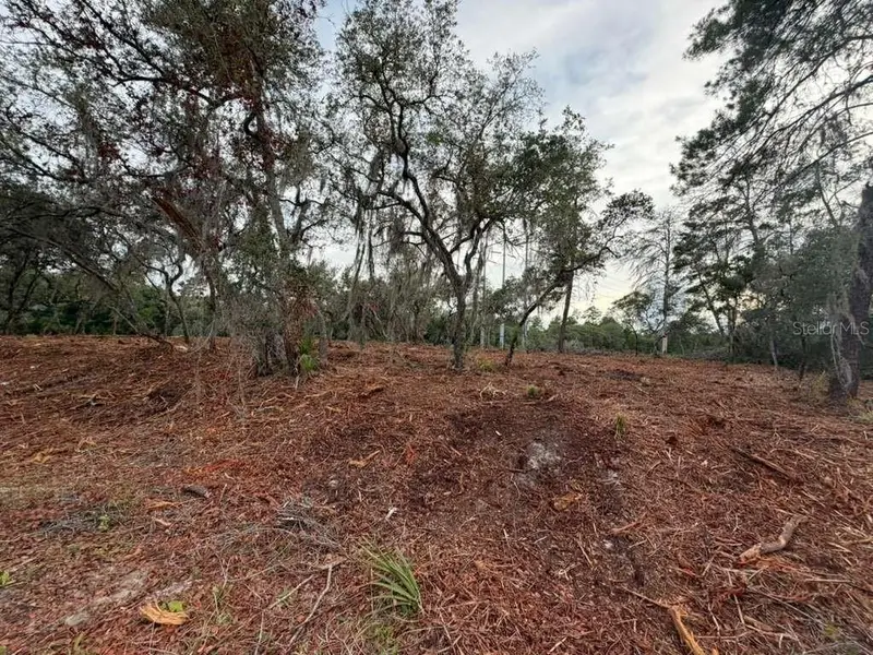 Sequoia Trl, FL