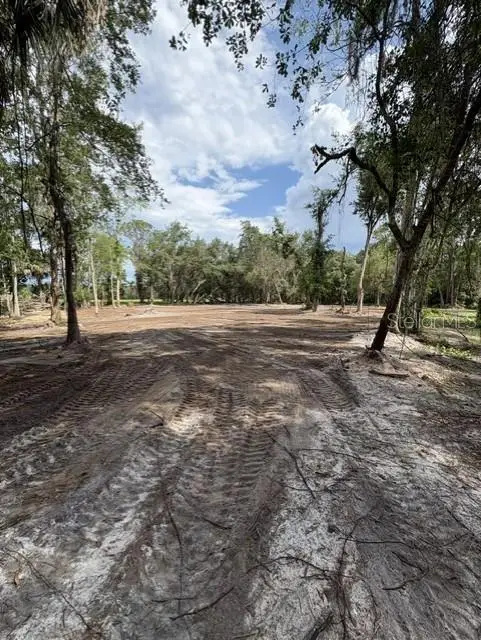 County Road 309, FL
