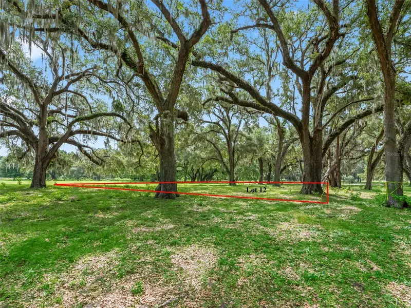 Lot 12 Cr 543, FL
