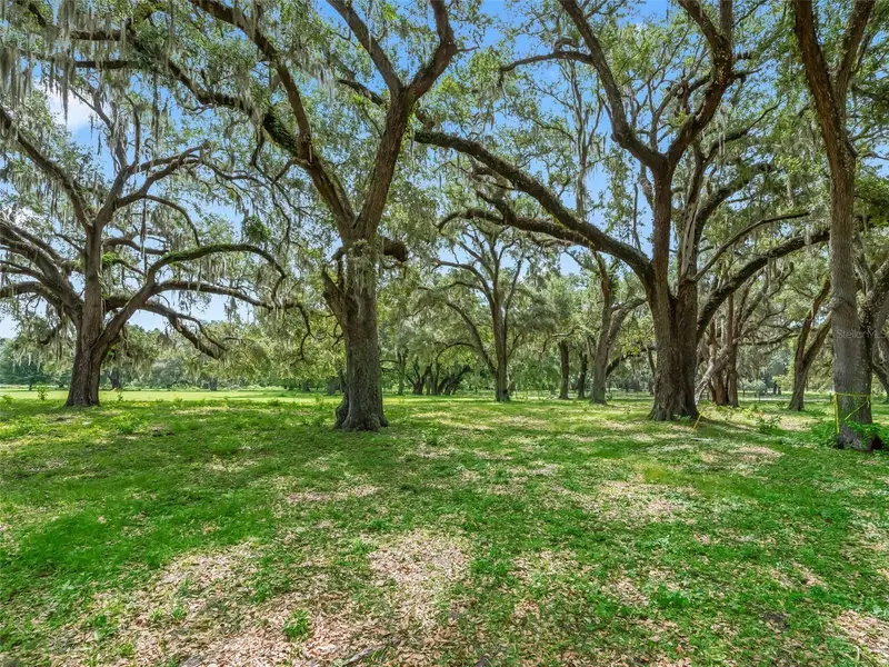Lot 12 Cr 543, FL