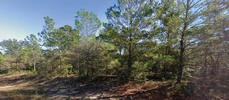 Colmart Dr, FL